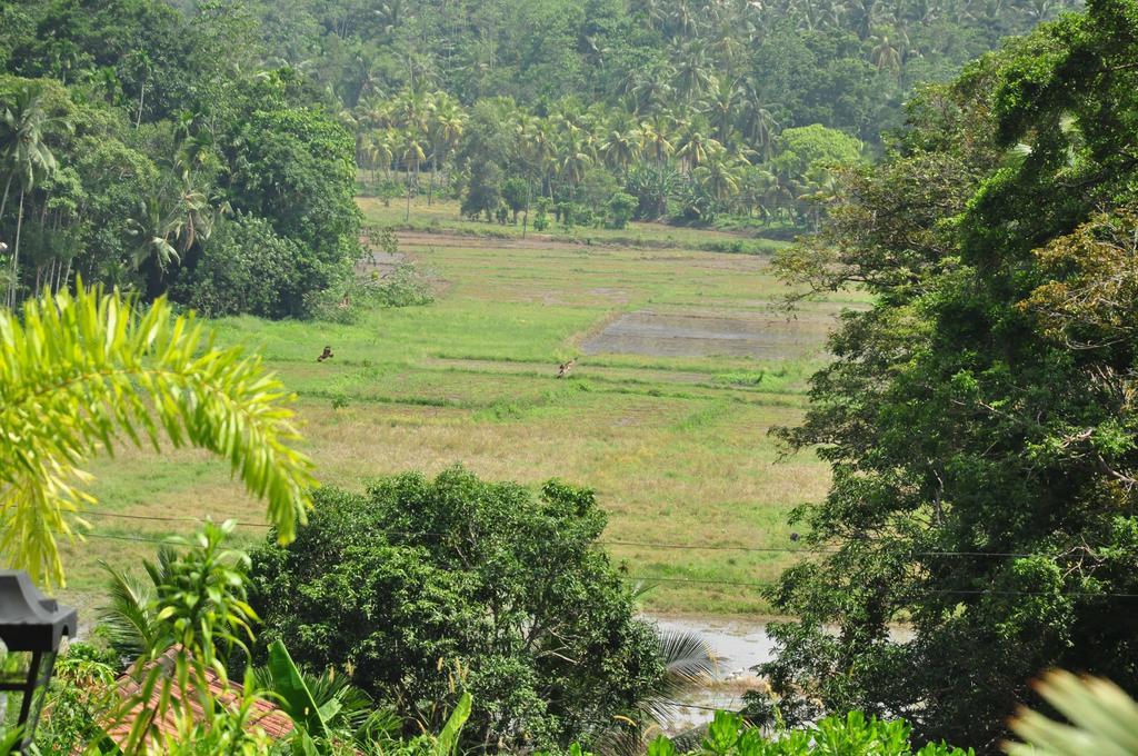 Edge Retreat Unawatuna
